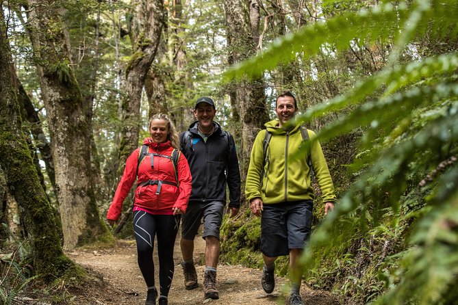 Kepler Track Water Taxi - Scenic Highlights