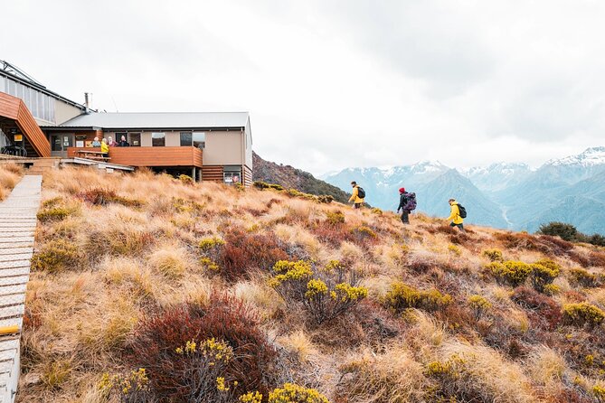 Kepler Track Water Taxi - Customer Reviews and Experiences
