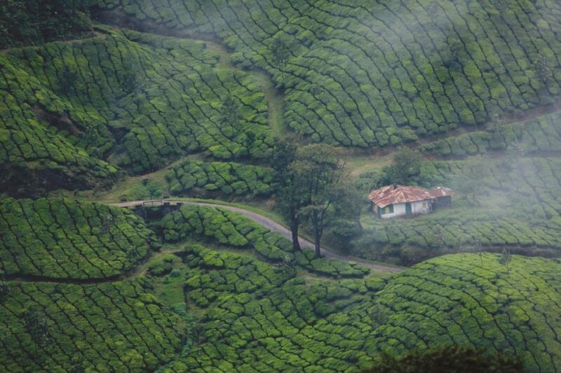 Kerala: 03 Nights/04 Days Cochin & Munnar Hill Station Tour - Itinerary