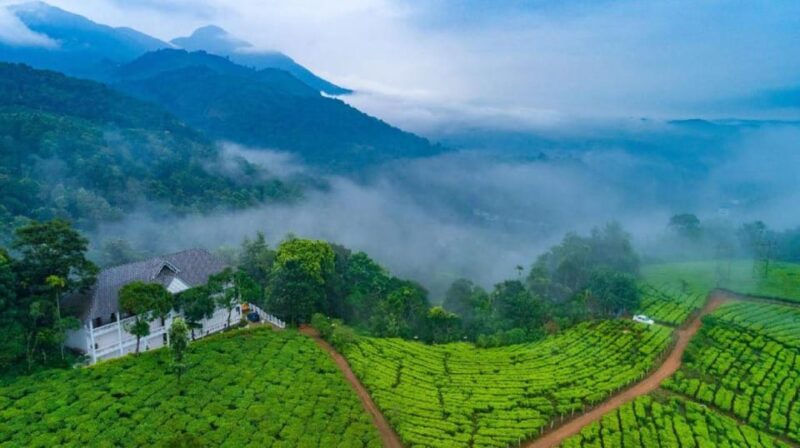 Kerala: 03 Nights/04 Days Cochin & Munnar Hill Station Tour - Important Information