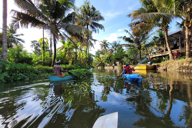 Kerala Backwater Village Kayaking Tour: Alleppey - Health and Accessibility