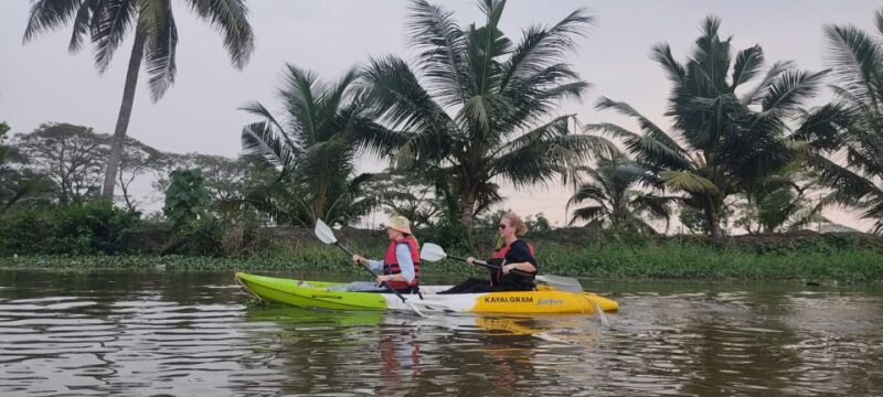 Kerala Backwater Village Kayaking Tour (Nedumudy) - Experience and Highlights