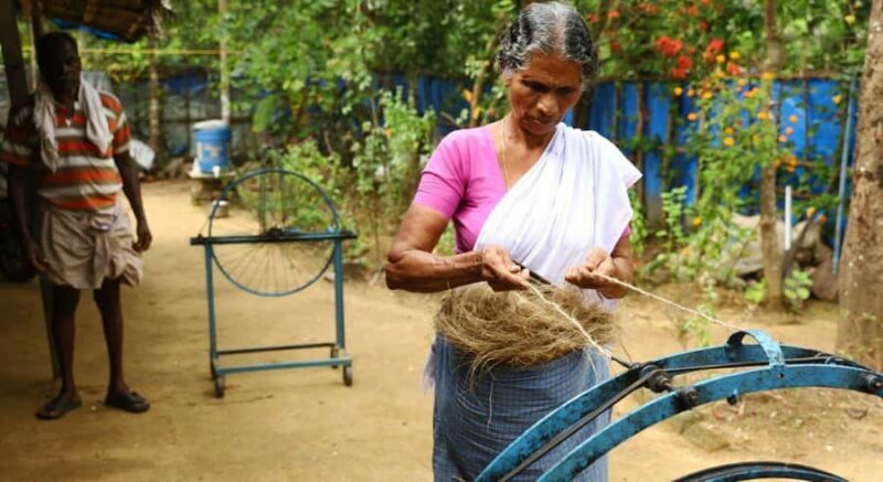 Kerala: Backwater Village Punting Boat Cruise with Lunch - Who Should Consider This Tour?