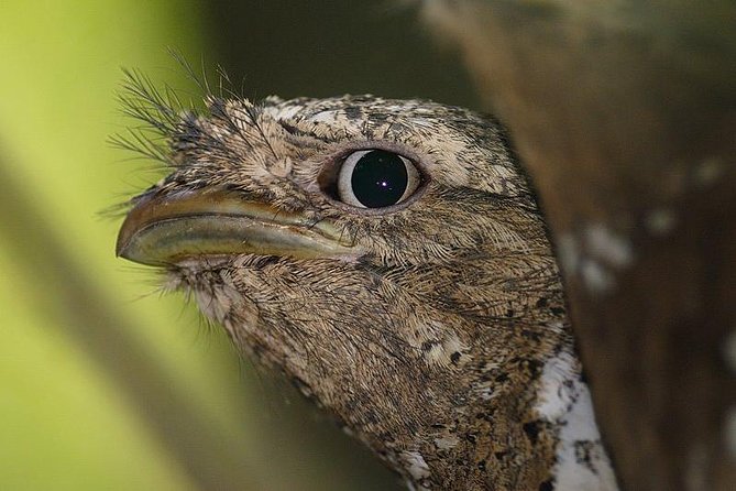 Kerala Bird Watching Tour - Exclusions