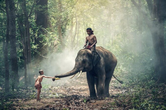 Kerala by Car & Driver: 9 Day Tour With Houseboat Stay - Important Information and Notes