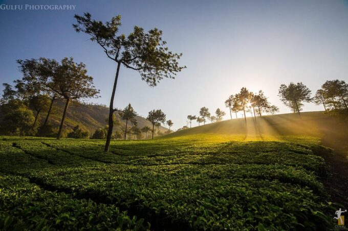 Kerala by Car & Driver: 9 Day Tour With Houseboat Stay - Frequently Asked Questions