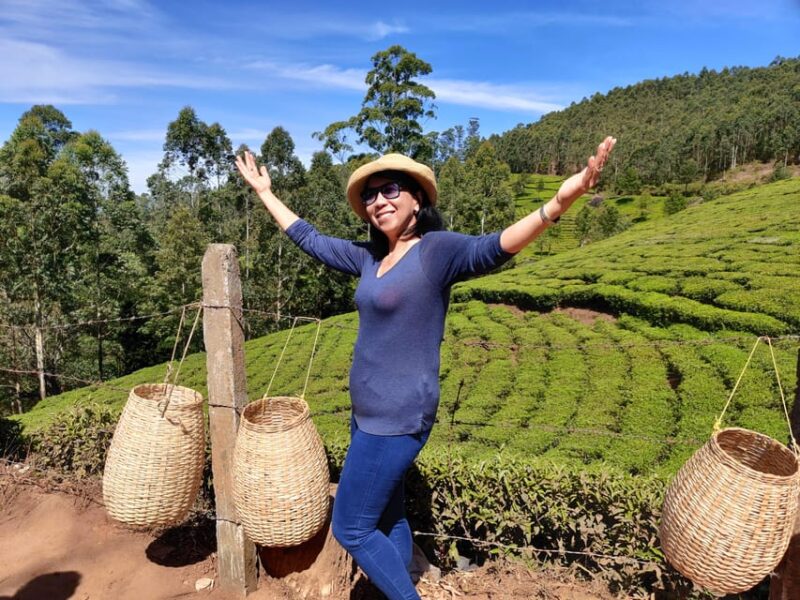 KERALA HILLS & BACKWATERS - 5 NIGHTS / 6 DAYS - Munnar (Day 2)