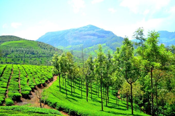 Kerala House Boat With Munnar Tour 06 Days 05 Nights - Arrival in Kochi