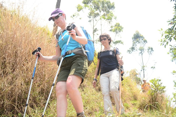 Kerala Multi Activity Tour - Good To Know