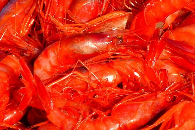 Kerala Sea Food Trail: An Excursion To Cherai Beach - Additional Information