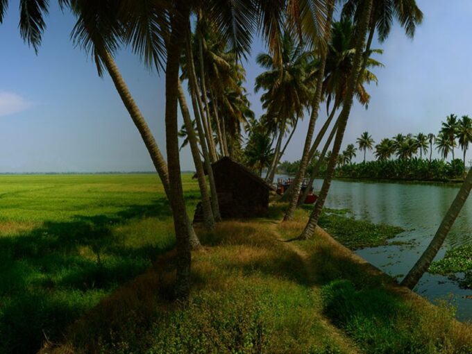 Kerala: Tour to Spice Garden of India: Travellers Choice: - Recommended Attire and Items