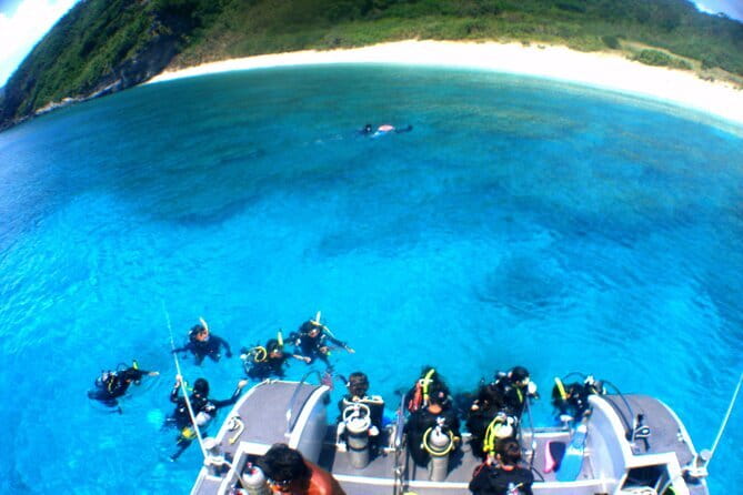 Kerama Islands Experience Dive/Snorkeling/Whale Watching Service - Participant Requirements