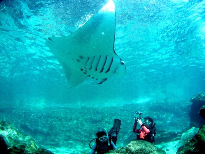 Kerama Islands National Park 2 Boat Fan Diving (With Rental) - Destination Changes