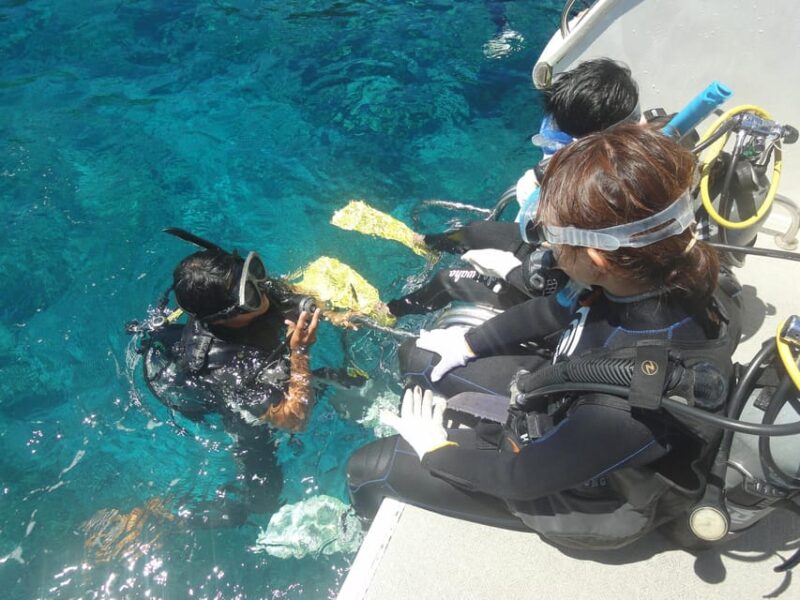 Kerama Islands National Park Experience Diving + Snorkeling - Unique Experiences