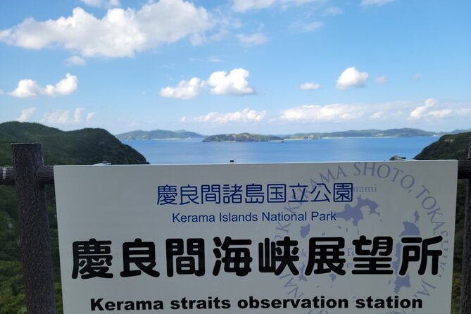 Kerama Tokashiki Island and Whale Watching Tour - Meeting and Pickup