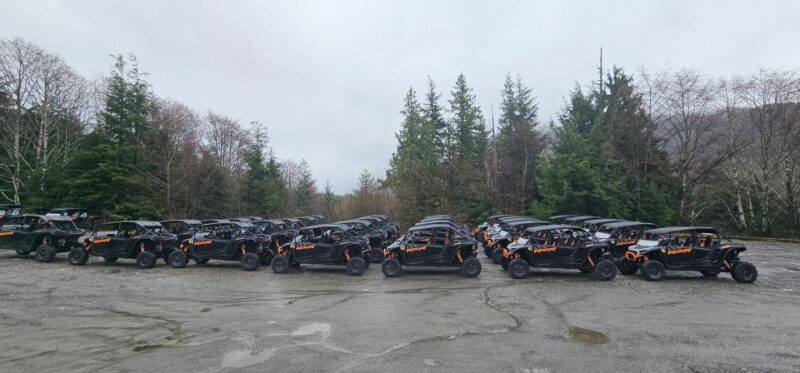 Ketchikan: Adventure Kart Expedition - Itinerary Details