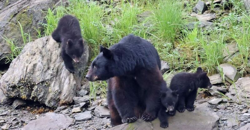 Ketchikan: Alaska Native Cultural and Scenic Shore Excursion - FAQ