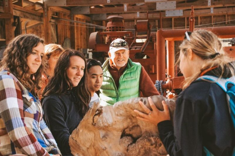 Ketchikan: Alaska Rainforest Sanctuary and Totem Park Walk - What to Bring and Important Information