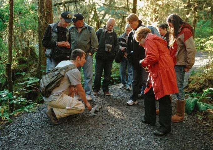 Ketchikan: Alaska Rainforest Sanctuary and Totem Park Walk - Exploring Temperate Rainforest
