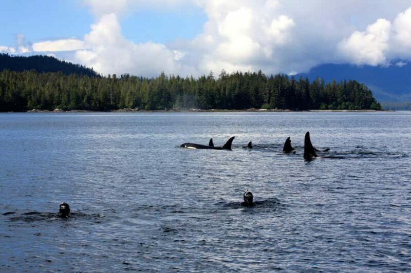 Ketchikan, Alaska: The Mountain Point Snorkeling Adventure - Equipment and Comfort
