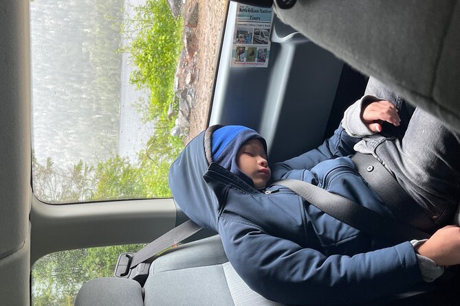 Ketchikan Authentic Native Experience Private Tour for up to 6 - Local Wildlife Observation
