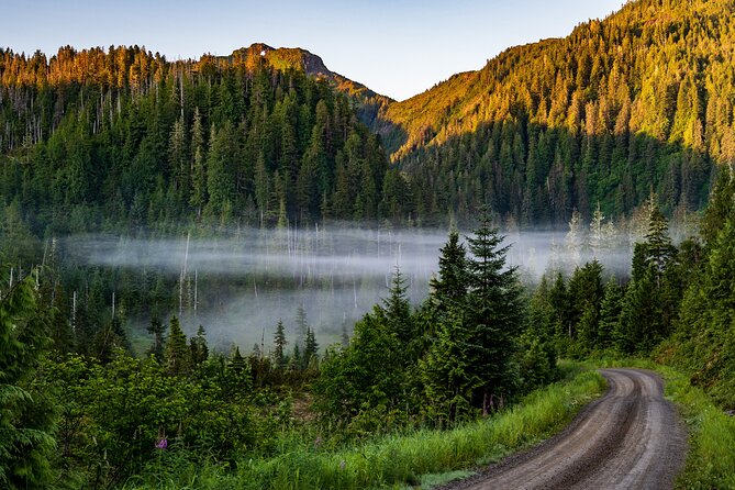 Ketchikan Backcountry Driving Tour Through the Tongass - Marveling at the Tongass National Forest