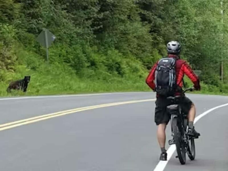 Ketchikan: E-Bike and Hike Tour - Price and Value
