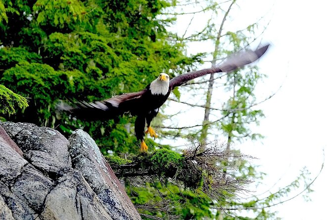 Ketchikan Electric Bike and Rain Forest Hike Ecotour - Small-Group Experience