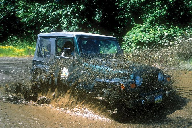 Ketchikan Jeep and Canoe Safari - Exploring the Rain Forest
