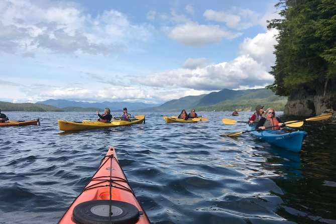 Ketchikan Kayak Eco-Tour - Sightings of Sea Lions, Whales, Eagles