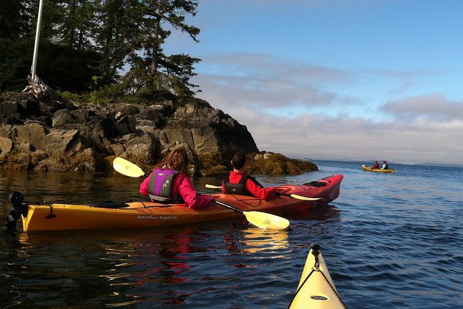 Ketchikan Kayak Eco-Tour - No Kayaking Experience Necessary