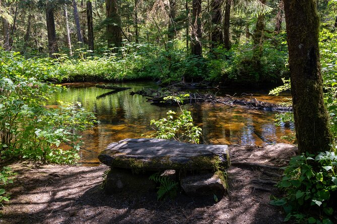 Ketchikan Magical Old-Growth Creek Trek Guided Tour - Pickup Locations
