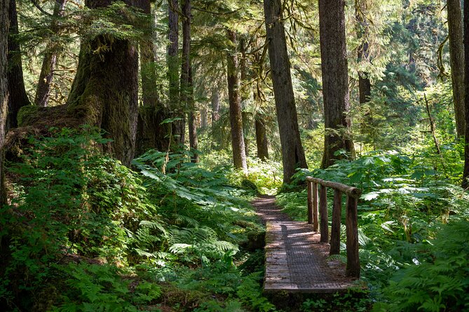 Ketchikan Magical Old-Growth Creek Trek Guided Tour - Tongass National Forest Hike