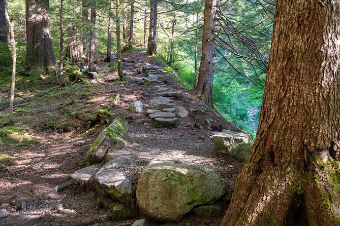 Ketchikan Mountain Lake Trek to Avalanche Chute - Included in the Hiking Experience