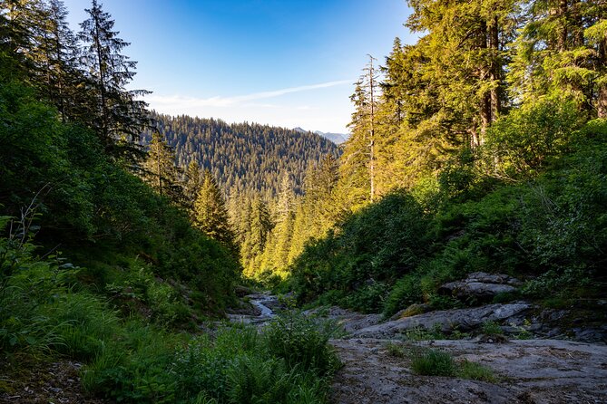 Ketchikan Mountain Lake Trek to Avalanche Chute - Confirmation and Cancellation Policy