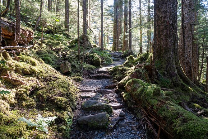 Ketchikan Mountain Lake Trek to Avalanche Chute - Navigating the 4-Mile Trail With a Knowledgeable Guide