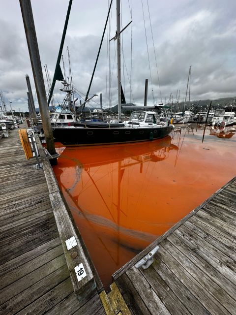 Ketchikan Photo Safari - Accessibility and Participation