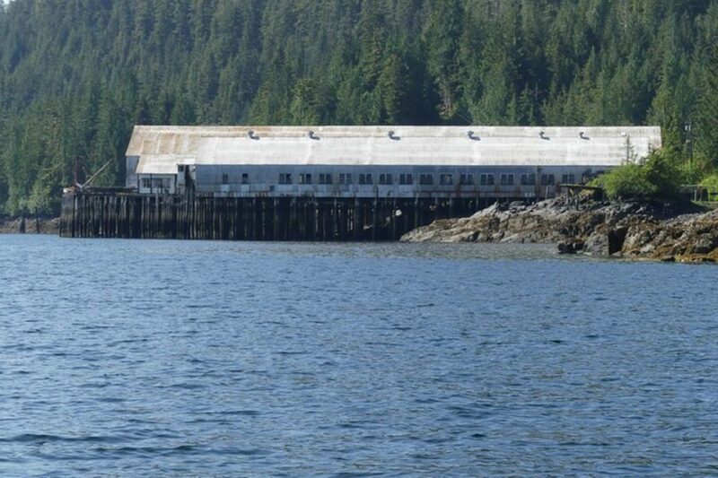 Ketchikan: Private Scenic Drive & George Inlet Fjords Cruise - Inclusions and Amenities