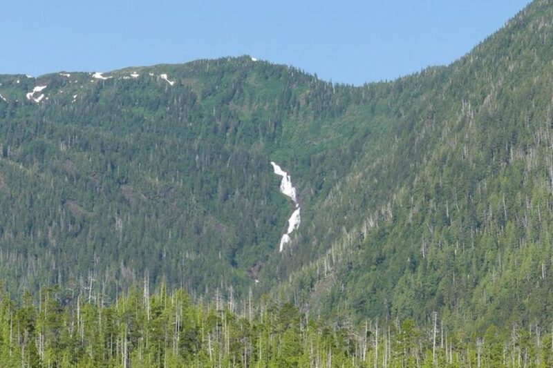 Ketchikan: Private Scenic Drive & George Inlet Fjords Cruise - Important Information