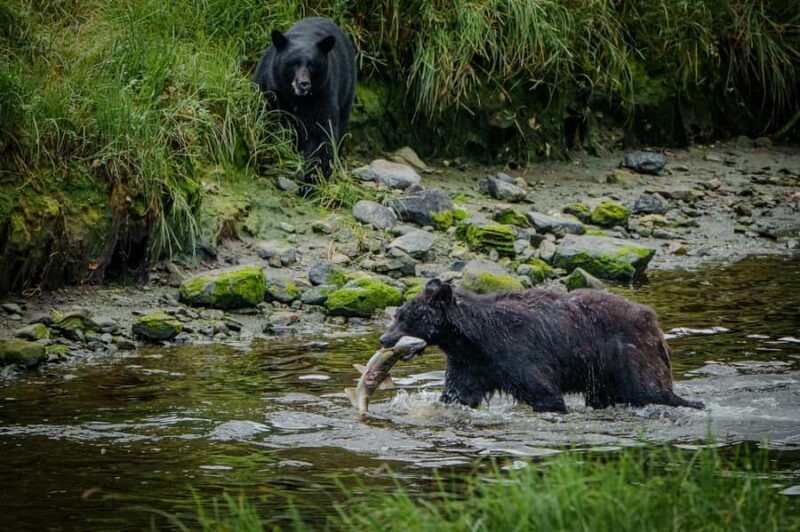 Ketchikan: Private Tours suitable for all ages! - The Guide Experience