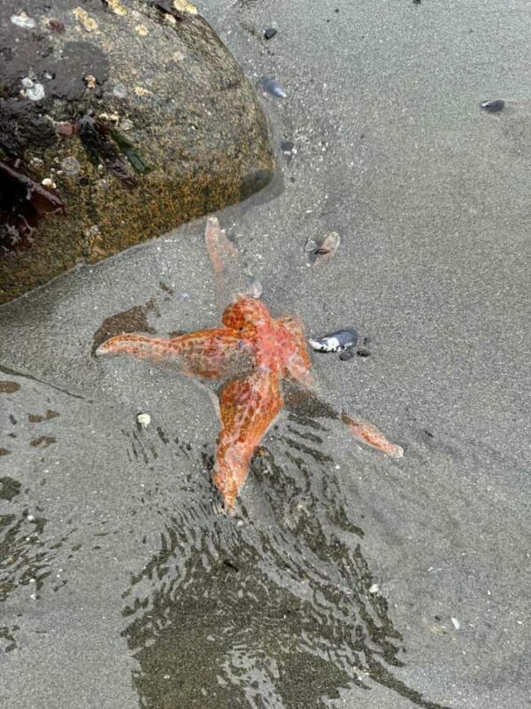 Ketchikan: Private Tours suitable for all ages! - Who Should Consider This Tour?