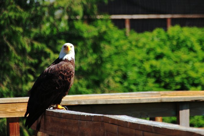 Ketchikan Rainforest Sanctuary and Totem Park - Key Points