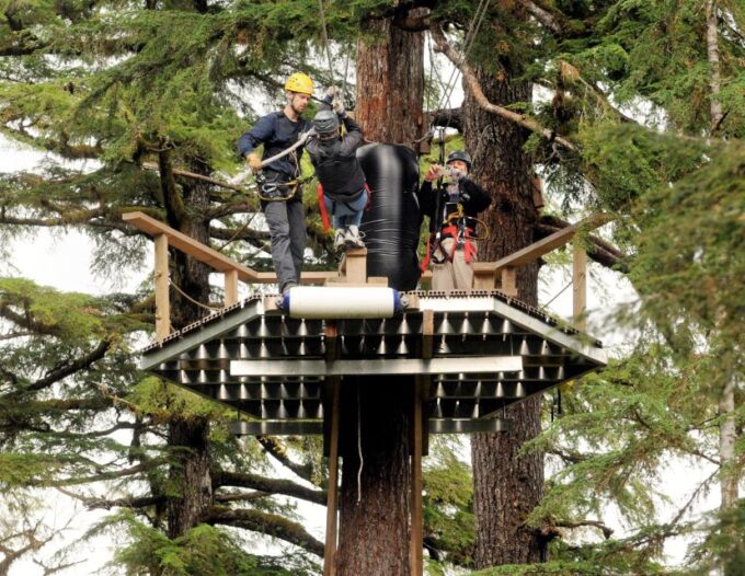 Ketchikan: Rainforest Zipline, Skybridge, & Rappel Adventure - Frequently Asked Questions