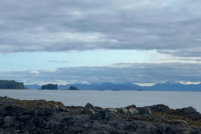 Ketchikan Remote Beach Hike With Totem Park Stop - Accessibility and Service Animals