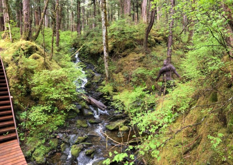 Ketchikan: Tongass Forest Alaska Bigfoot ATV Ride and Hike - Safety and Participant Requirements