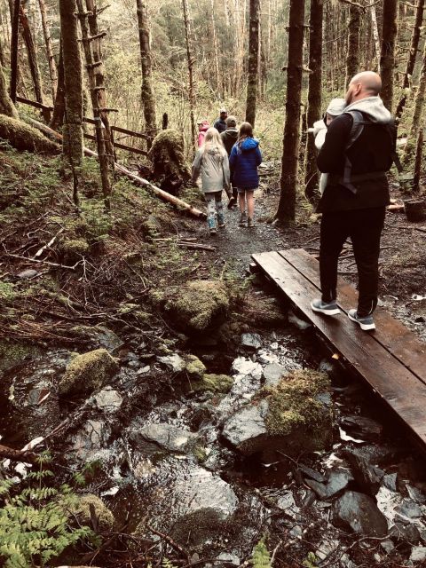 Ketchikan: Tongass Forest Alaska Bigfoot ATV Ride and Hike - Exploring the Moss-Covered Rain Forest