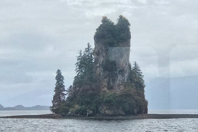 Ketchikan Whale Watching and Nature Tour - Inclusions and Amenities