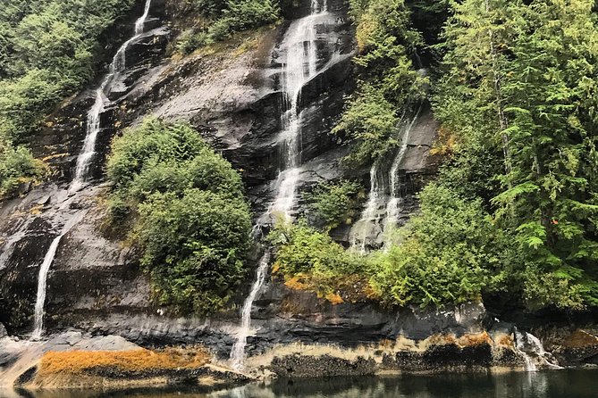 Ketchikan Whale Watching and Nature Tour - Accessibility and Policies