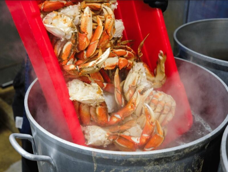 Ketchikan: Wilderness Boat Cruise and Crab Feast Lunch - Transportation and Meeting