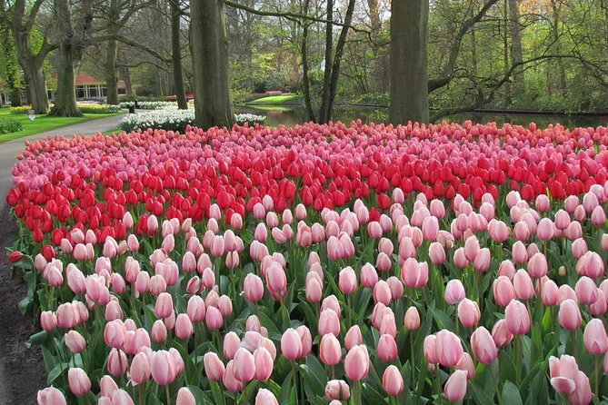 Keukenhof and Flower Fields Private Tour From Amsterdam - Pricing and Guarantees